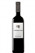 FERRATUS 菲尔塔斯干红 2007